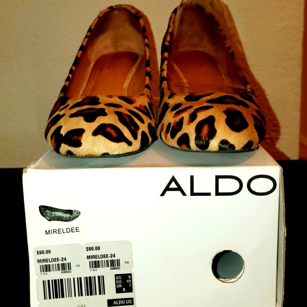 Aldo Wedge